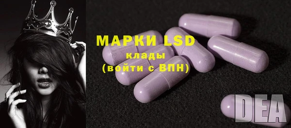 ПСИЛОЦИБИНОВЫЕ ГРИБЫ Вяземский
