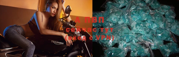 ПСИЛОЦИБИНОВЫЕ ГРИБЫ Вяземский