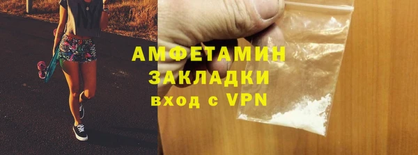 ПСИЛОЦИБИНОВЫЕ ГРИБЫ Вяземский