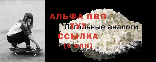 ПСИЛОЦИБИНОВЫЕ ГРИБЫ Вяземский