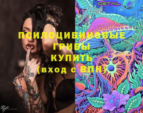 ПСИЛОЦИБИНОВЫЕ ГРИБЫ Вяземский