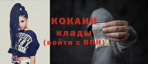 ПСИЛОЦИБИНОВЫЕ ГРИБЫ Вяземский