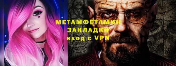 ПСИЛОЦИБИНОВЫЕ ГРИБЫ Вяземский