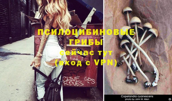 гашишное масло Вязники