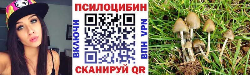 Галлюциногенные грибы GOLDEN TEACHER  Купить закладки  Мценск 